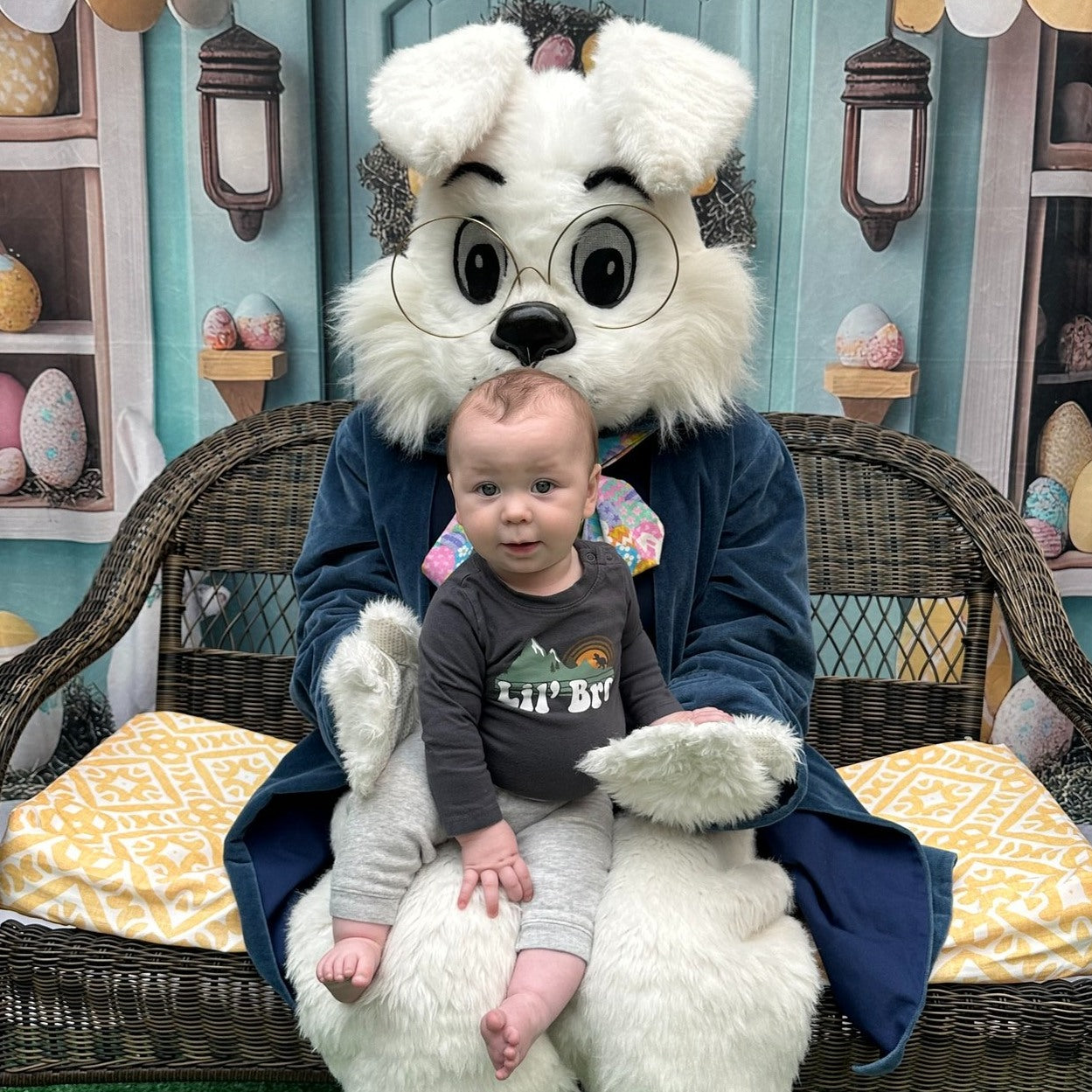Ostern Hintergrund Fotografie Skurrile Bunny Store Szene Backdrop BRP12-734