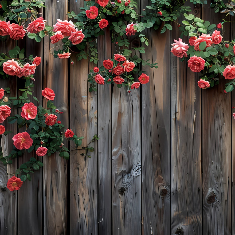Blumen Fotohintergrund Fotografie Blühende rote Rosen Zaun Hintergrund BRP2-93