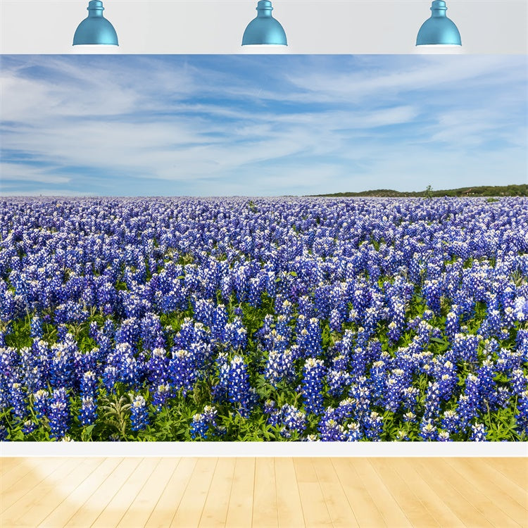 Floral Fotografie Hintergrund Wildblumen Wiese Blauer Himmel Hintergrund BRP2-94