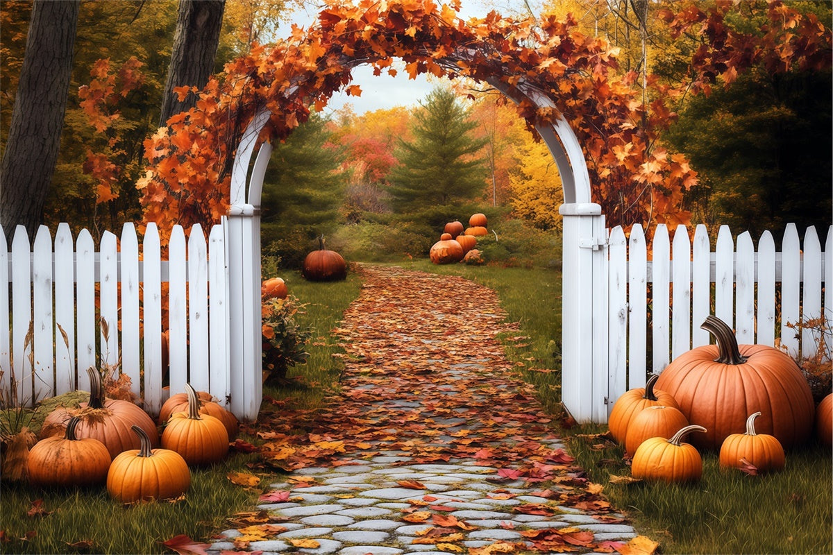 Herbstblätter Backdrop Kürbis Bogen Pfad Fotohintergrund BRP57-202