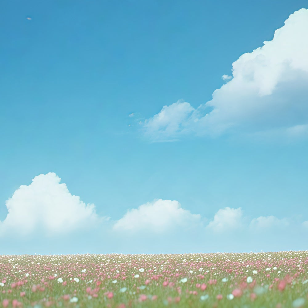 Blauer Himmel Backdrop Sonnenschein Wild Bloom Fotohintergrund BRP57-225