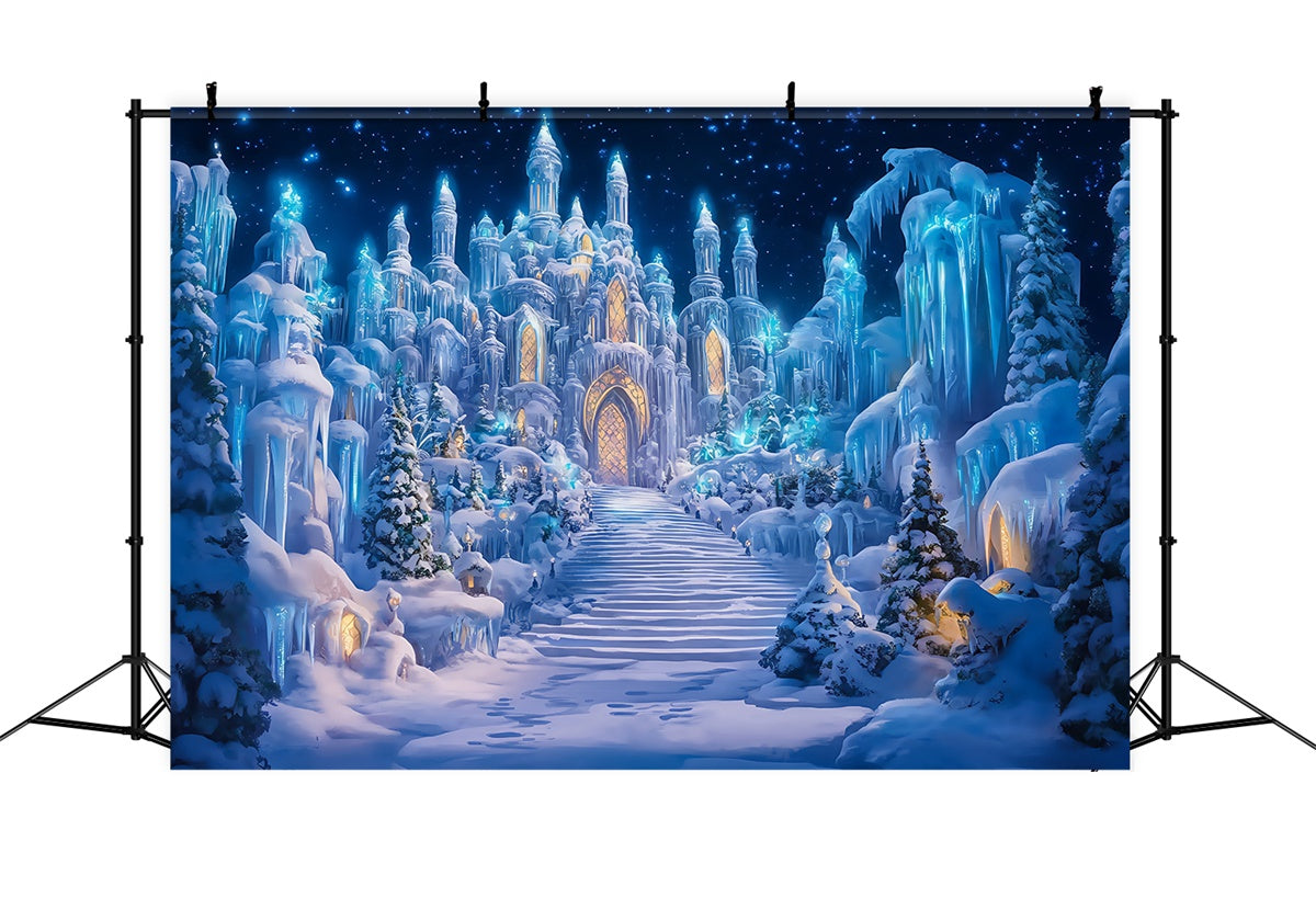 Castle Backdrops Kristallschloss Pfad Winter Foto Hintergrund BRP57-356