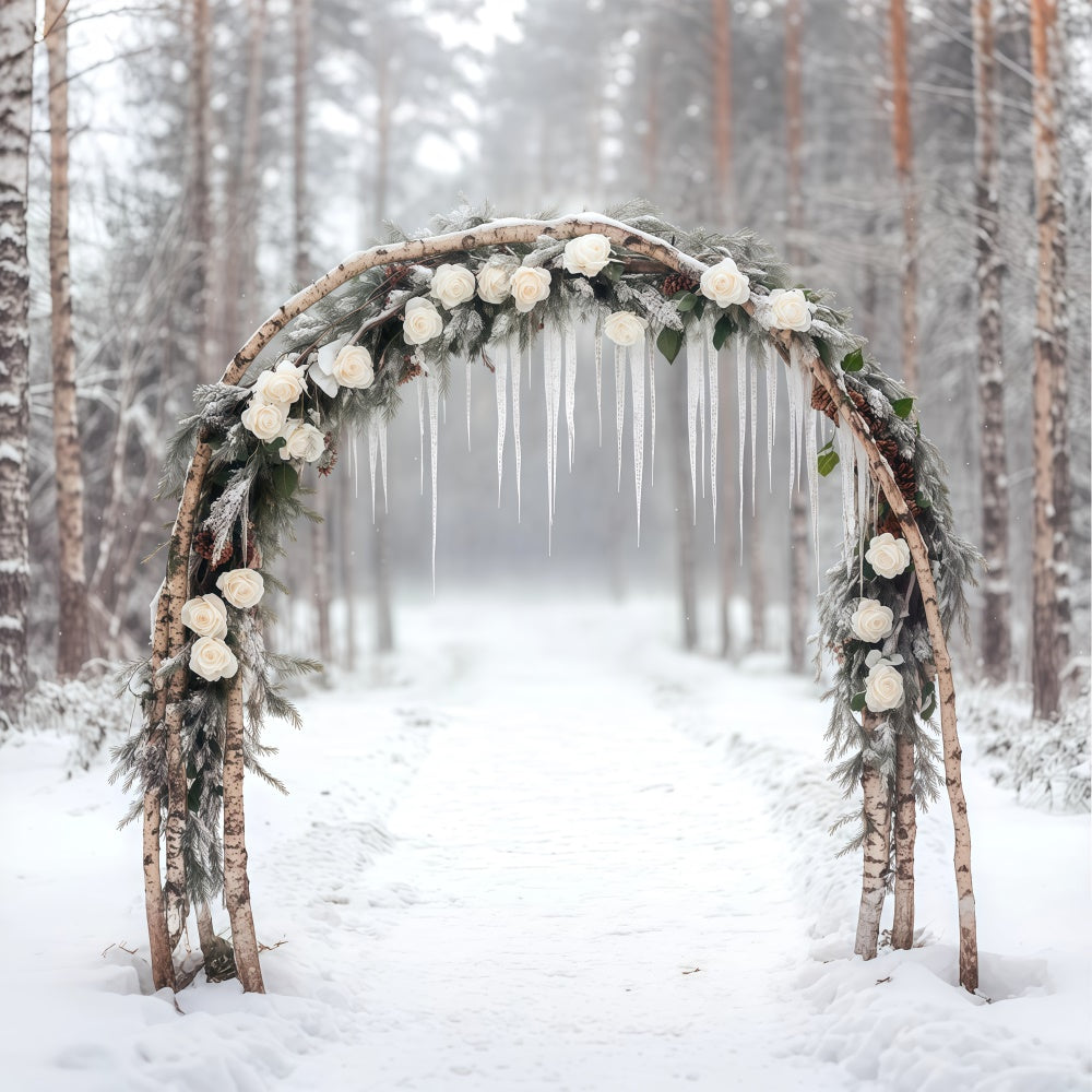 Winterszene Backdrop Gefrorene Romantik Torbogen Foto Hintergrund BRP57-363