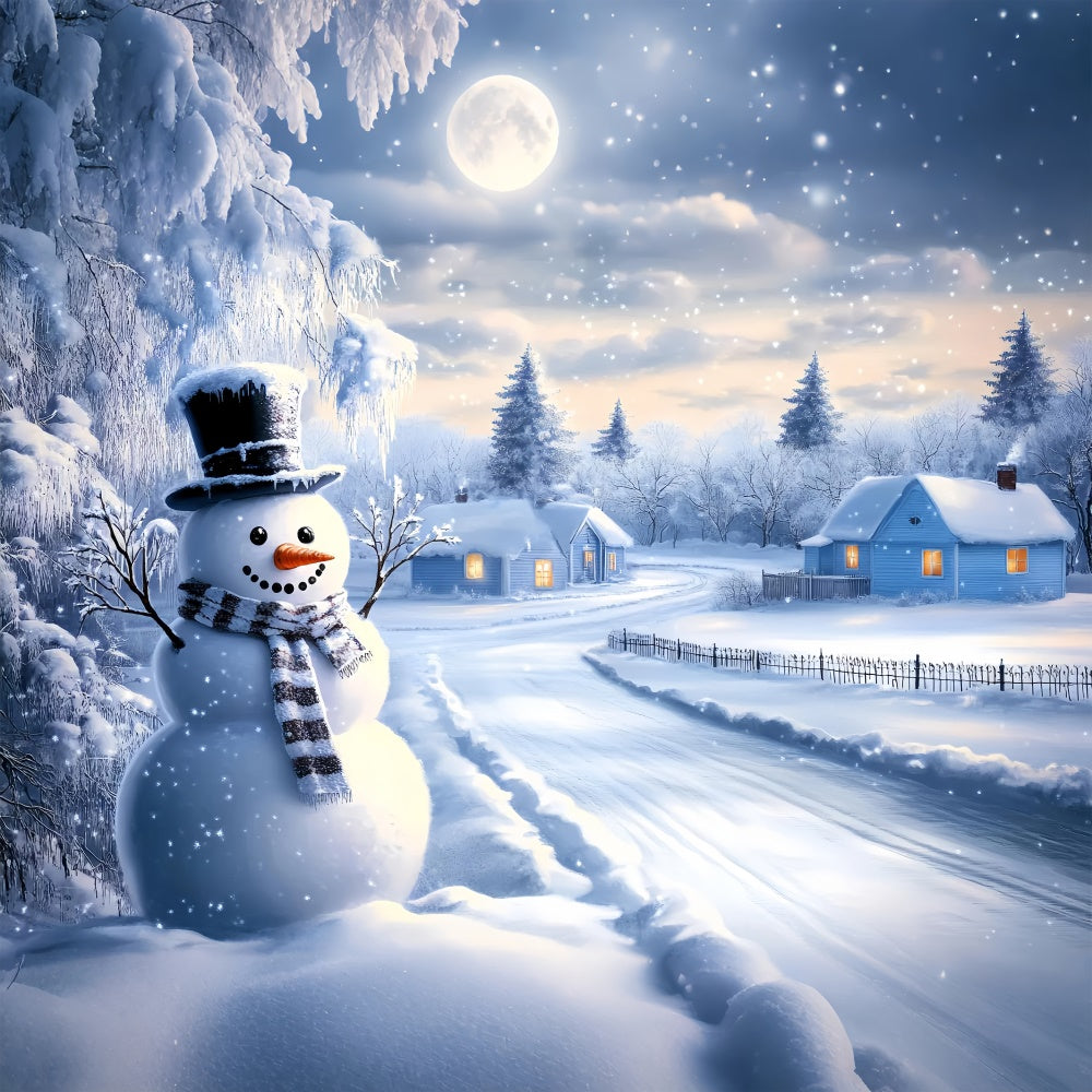 Schneehintergrund Frosty Path Winter Cottage Foto Hintergrund BRP57-388