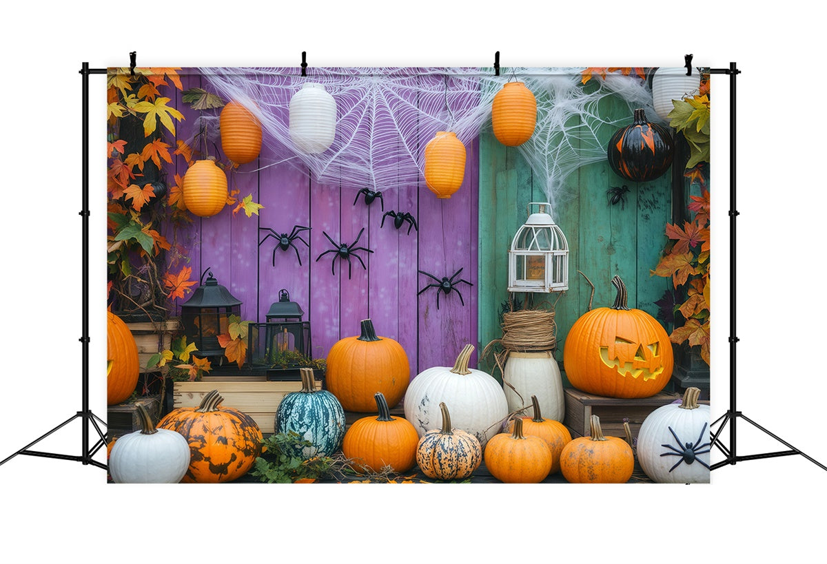 Halloween Fotohintergrund Spinnennetz Kürbis Wandhintergrund BRP57-78