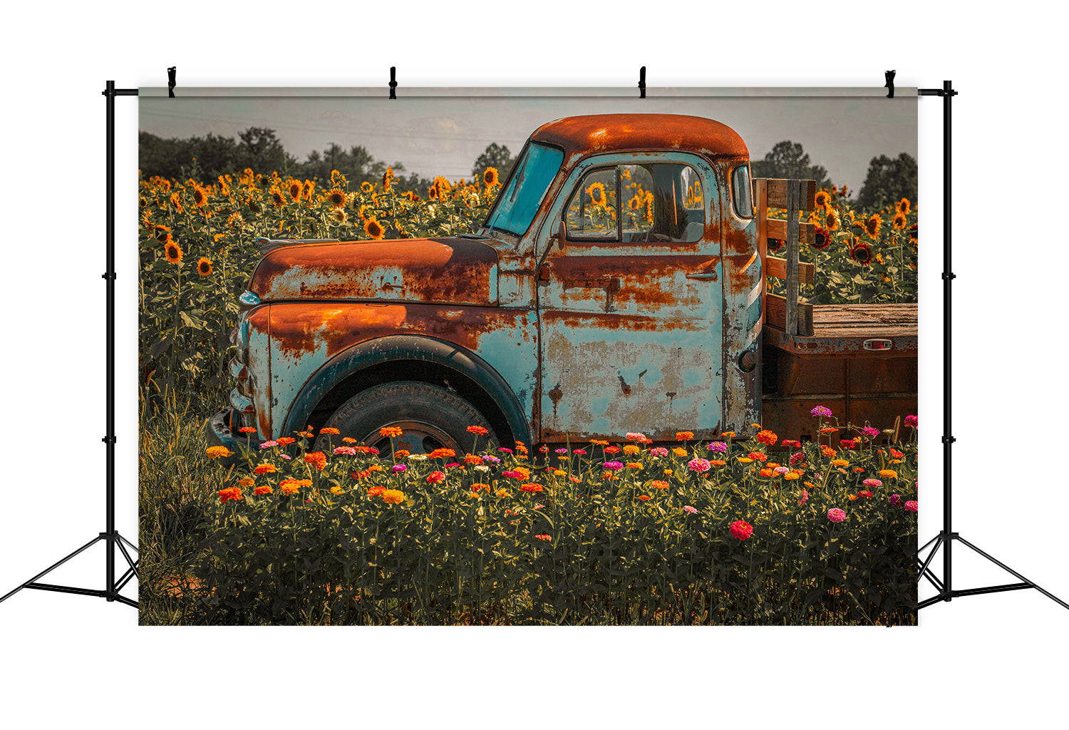 Herbst Sonnenblume Bauernhof LKW Fotografie Hintergrund BRP7-115