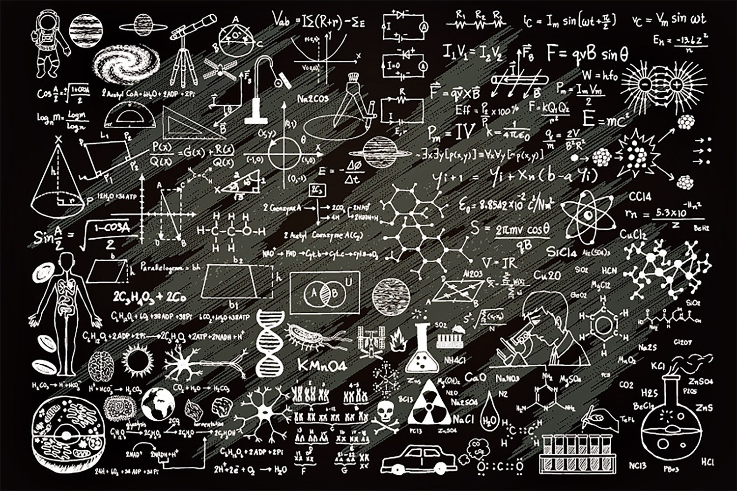 Zurück zu Schule Educational Blackboard Kid Backdrop BRP7-55