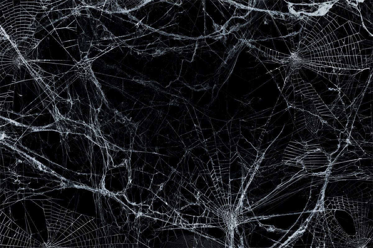 Gruseliges Spinnennetz Halloween Hintergrund BRP8-272