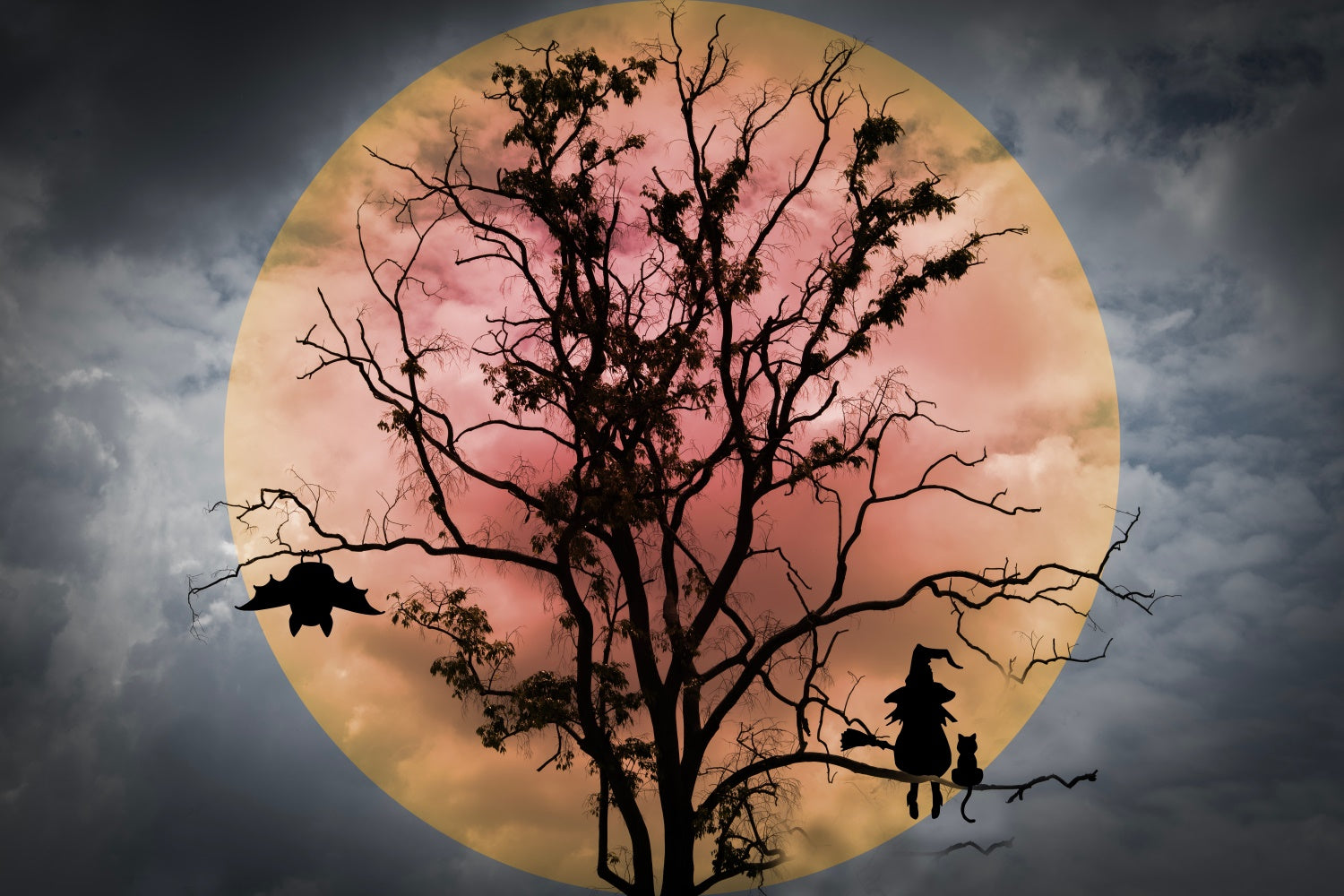 Halloween Hexe und Fledermäuse Roter Mond Hintergrund BRP8-275
