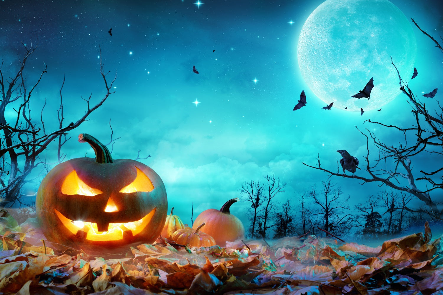 Blaue mondbeschienene Halloween-Szene mit Kürbissen BRP8-352
