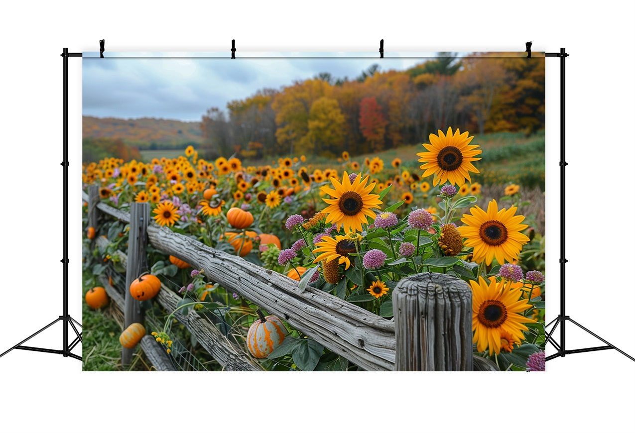 Herbstsonnenblumen Kürbisse Rustikaler Holzzaun Hintergrund BRP9-185