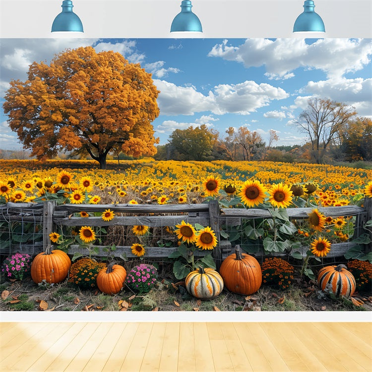 Herbstsonnenblumenfeld Großer Baum Kürbisse Hintergrund BRP9-186