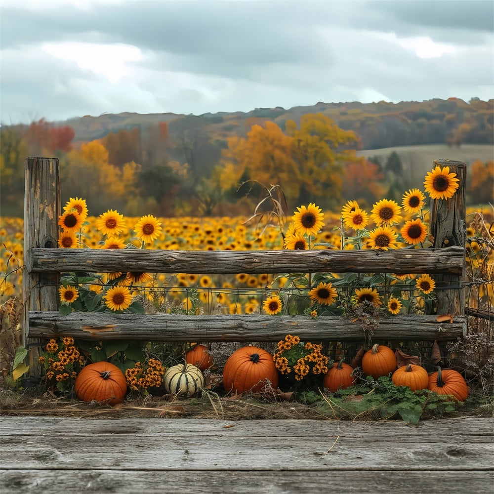Goldener Herbst Sonnenblumen Kürbisse Zaun Hintergrund BRP9-187