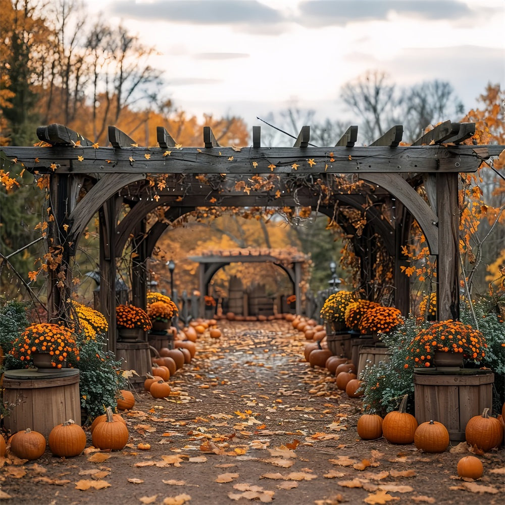 Herbstpfad Kürbisse Blumenbögen Hintergrund BRP9-190