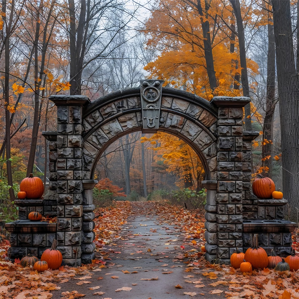 Uralter Steinbogen Kürbis Herbstszene Hintergrund BRP9-209