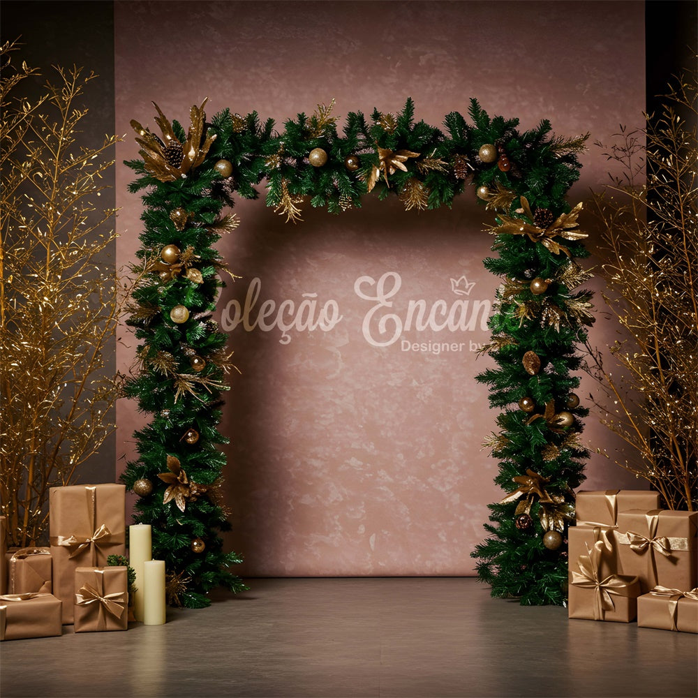 Weihnachten Backdrops Verkauf Minimal Festlicher Bogen Geschenk Backdrop CEM5-6