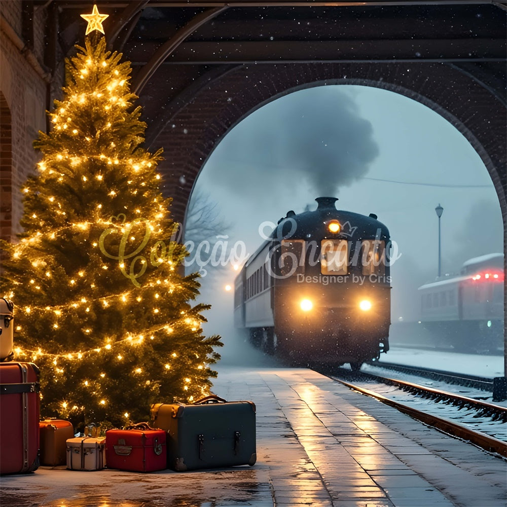 Weihnachten Backdrops Verkauf Schnee Zugfahrt Backdrop CEM5-73