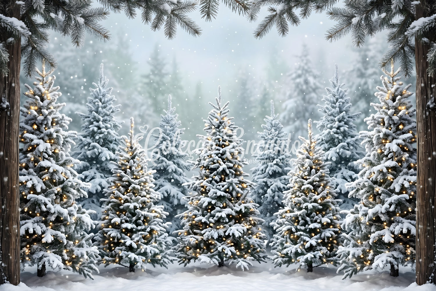 Winter Wald Szene Schnee Tanne warmes Licht Fotobox CEM65-182