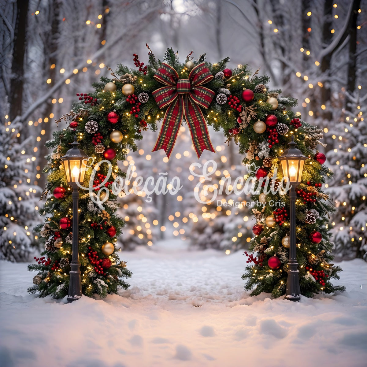 Weihnachten Fotohintergrund Verschneiter Wald Kranz Bogen Kulisse CEM65-71