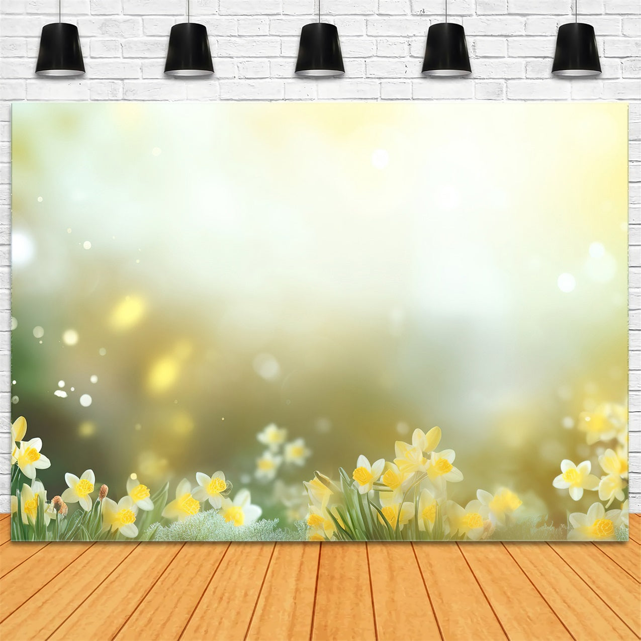 Narzisse Backdrop Glow Gelbe Blume Backdrop CJJ2-1
