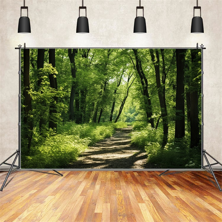 Woodland Fotokulisse Lush Woodland Sunlit Trail Kulisse CJJ2-121