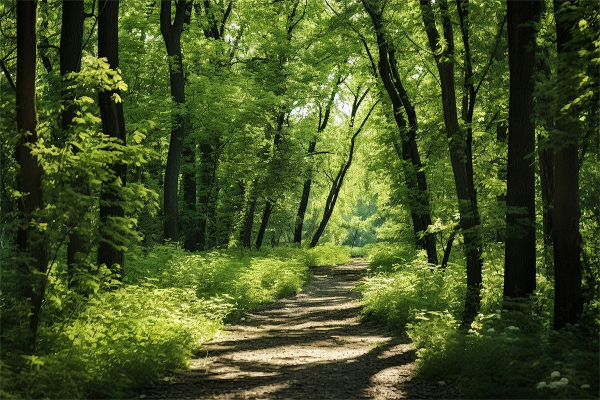 Woodland Fotokulisse Lush Woodland Sunlit Trail Kulisse CJJ2-121
