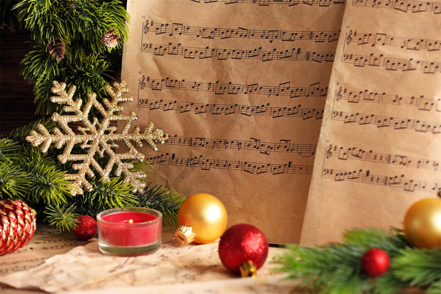 Freude an der Welt Backdrop Noten Weihnachten Backdrop CJJ2-13