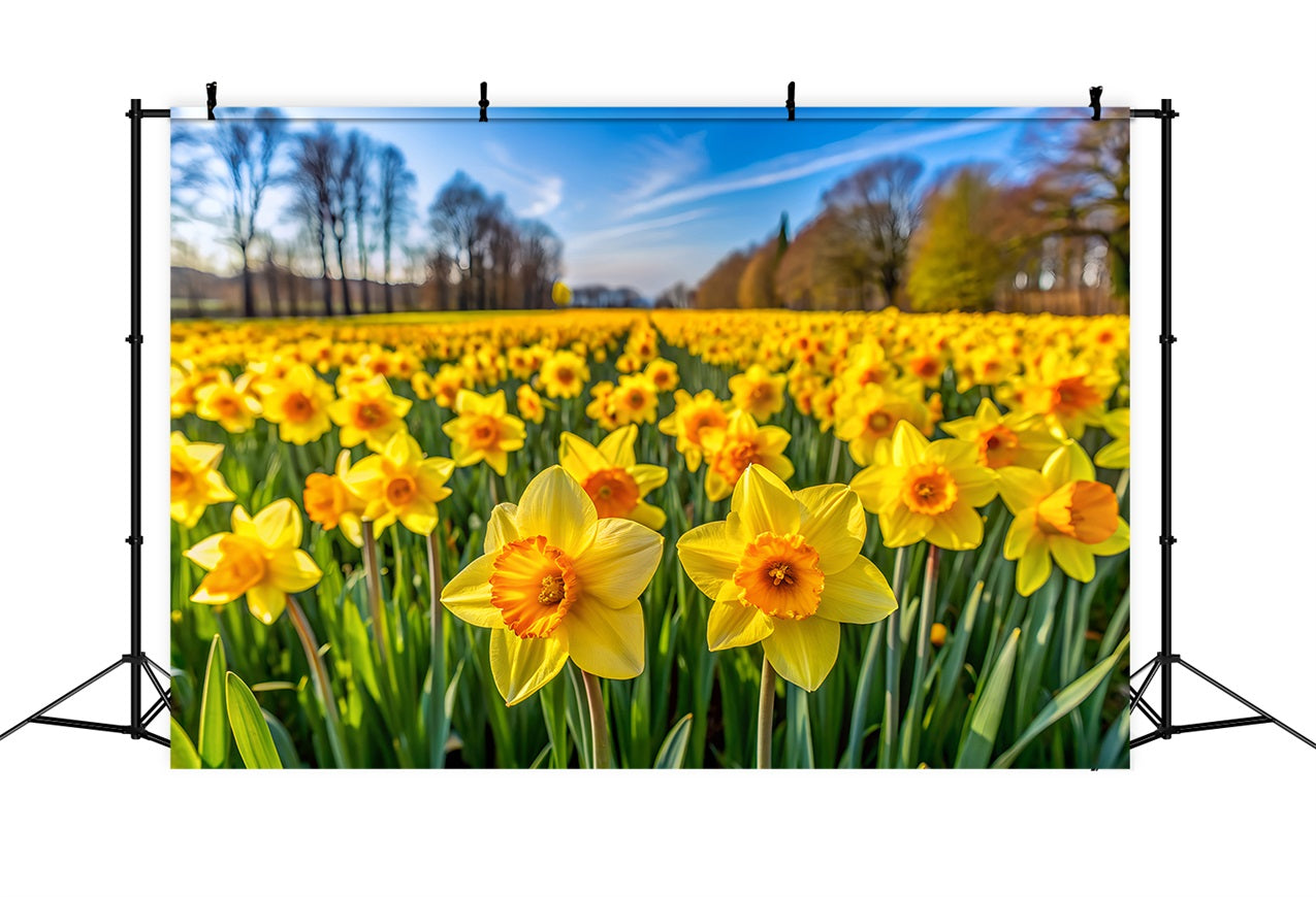 Narzisse Backdrop Bloom Floral Fotokulisse CJJ2-3