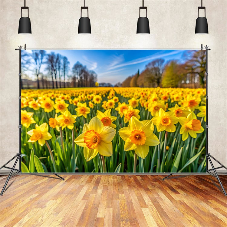Narzisse Backdrop Bloom Floral Fotokulisse CJJ2-3