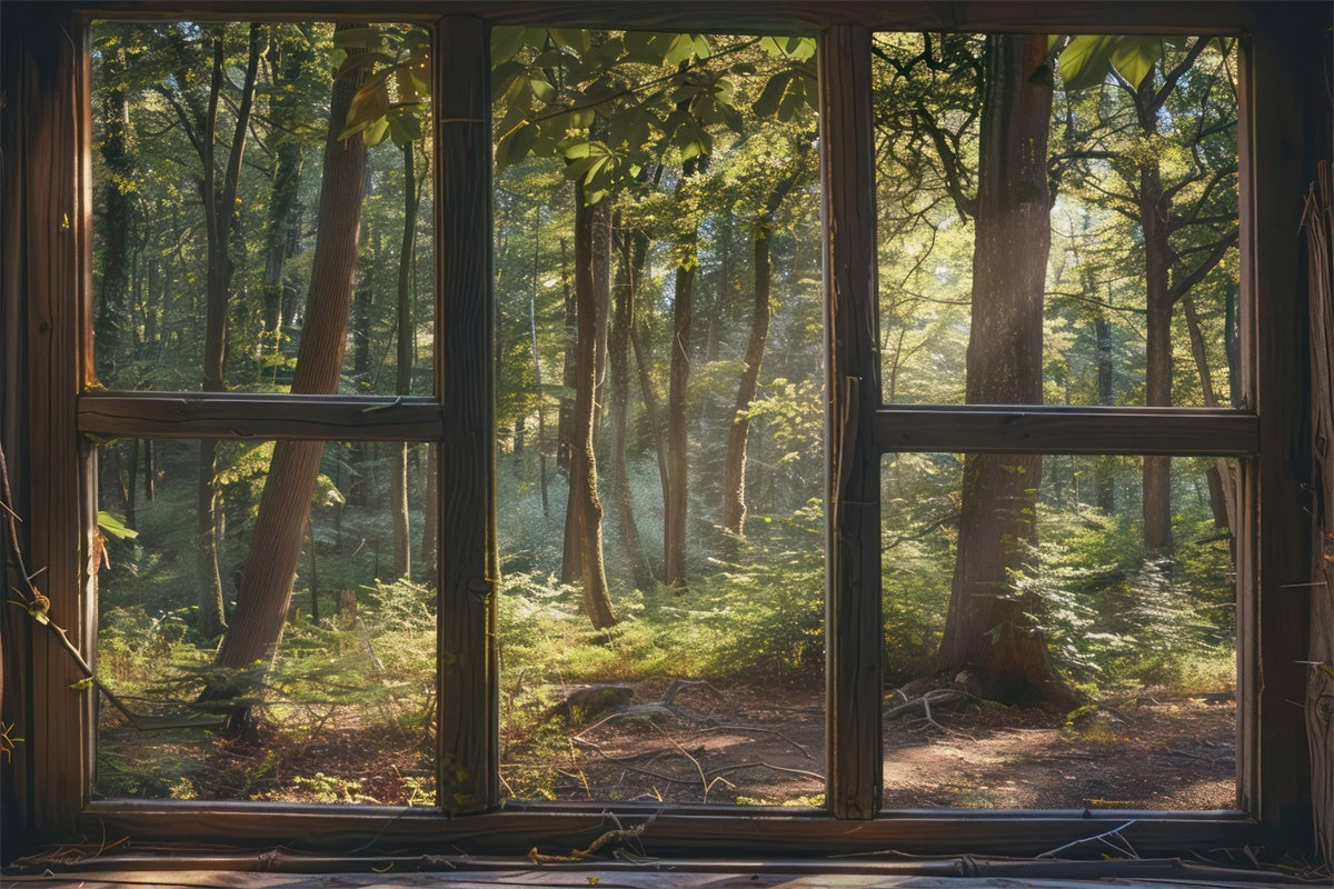 Woodland Backdrops Tranquil Woodland Fenster Szene Backdrop CJJ2-30