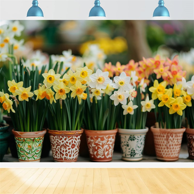 Narzisse Hintergrund Hintergrund getopft Frühling Blume Hintergründe CJJ2-4