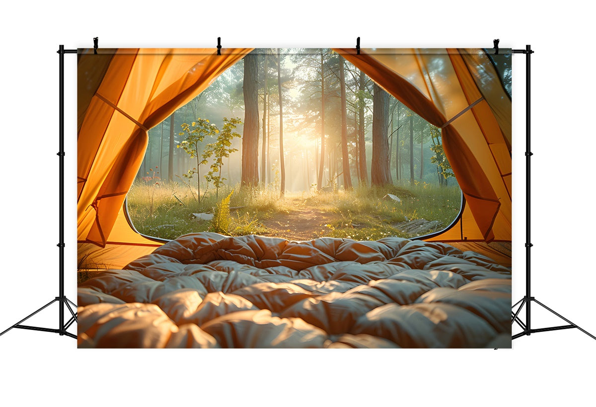 Wald Fotohintergrund Morgen nebligen Wald Camping Hintergrund CJJ2-41