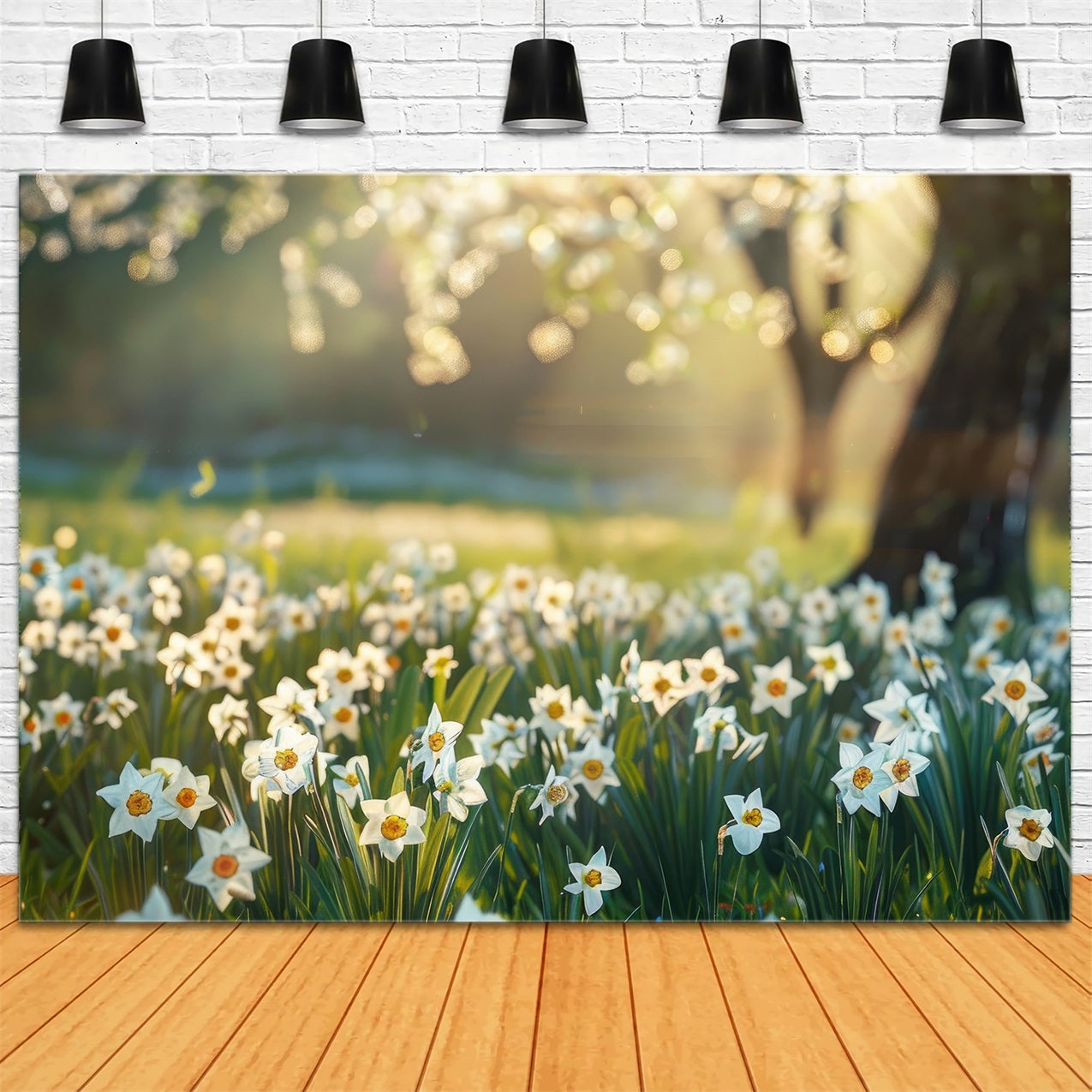 Narzissen-Hintergrund Sonnenlicht-Wiese Blumen-Hintergrund CJJ2-5