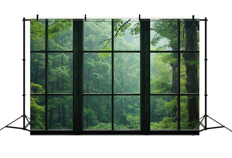 Forest Backdrop Fotografie Serene Forest View Window Backdrop CJJ2-57