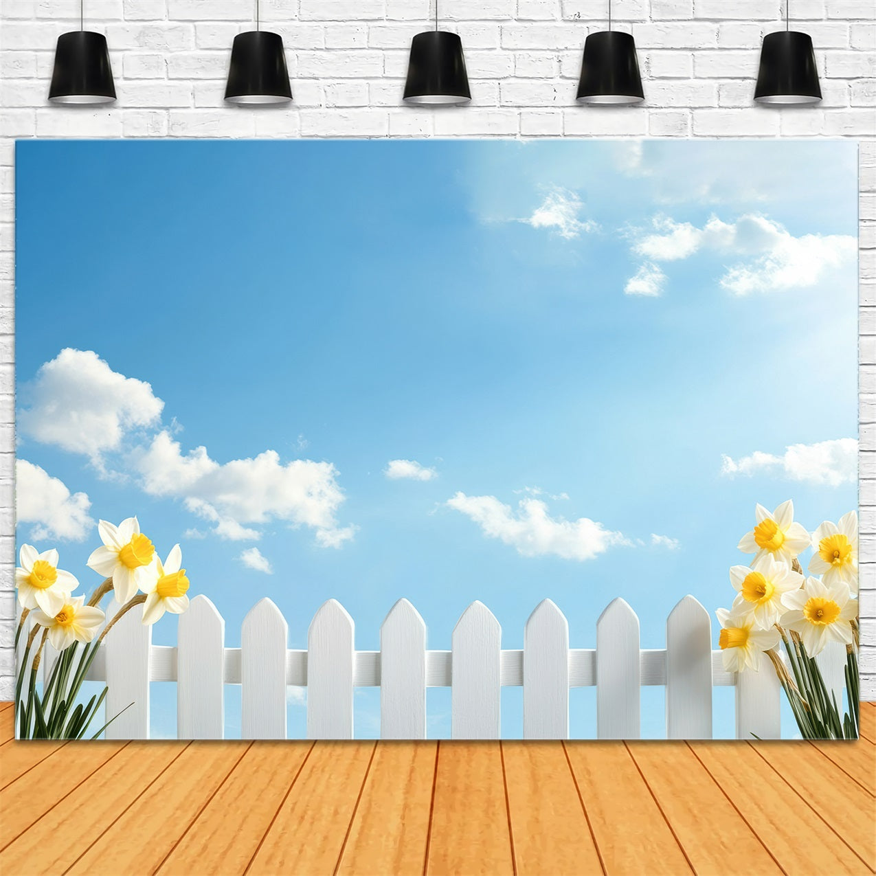 Narzisse Backdrop Blauer Himmel Weißer Zaun Blume Backdrop CJJ2-9