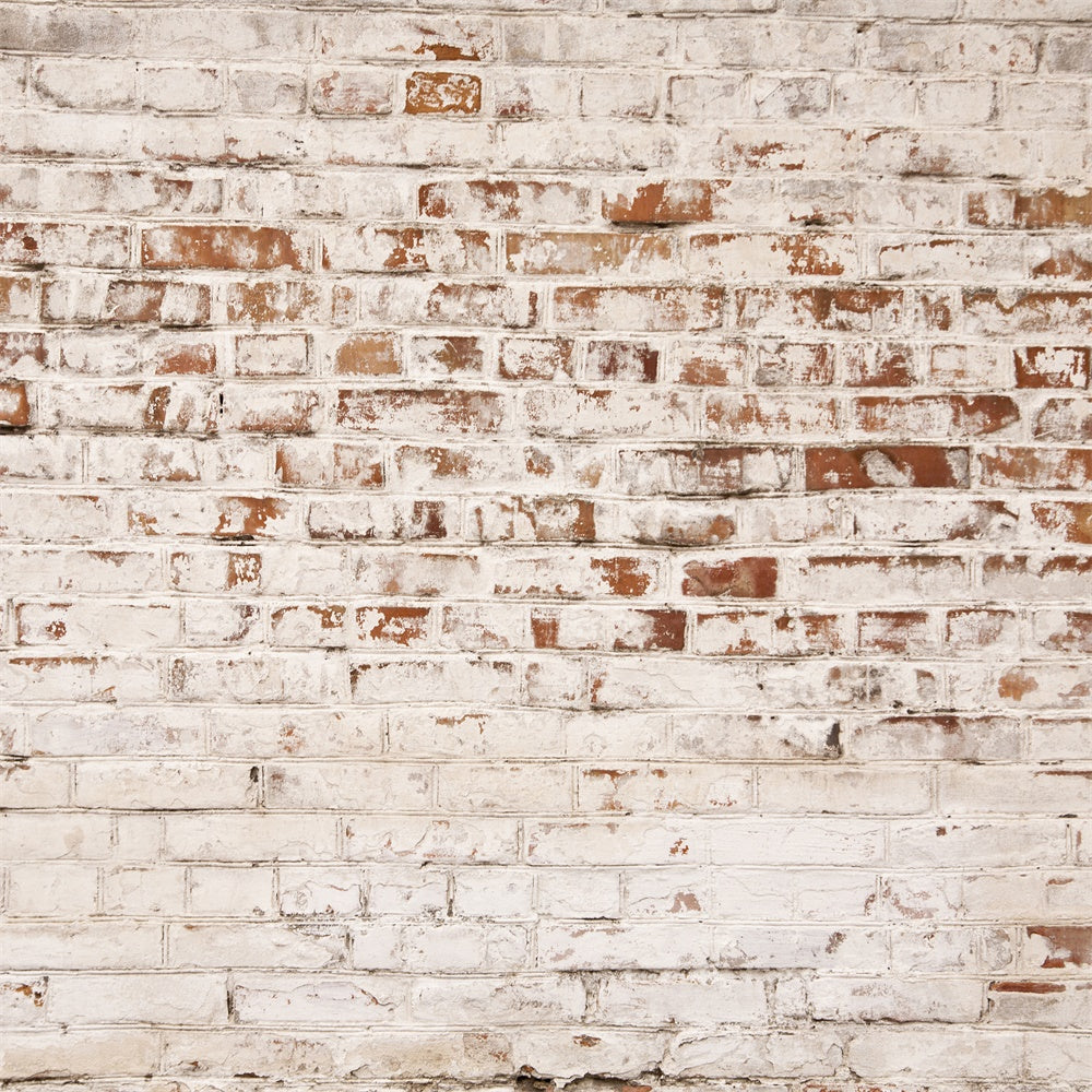 Backstein Backdrop Fotografie Rustic Aged White Brick Backdrop CJJ3-18