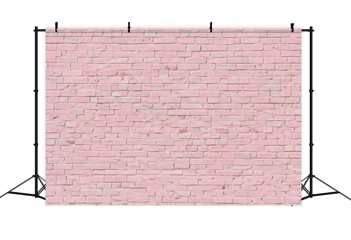 Rosa Backsteinmauer Backdrop Rosa Minimalistische Backstein Backdrop CJJ3-26