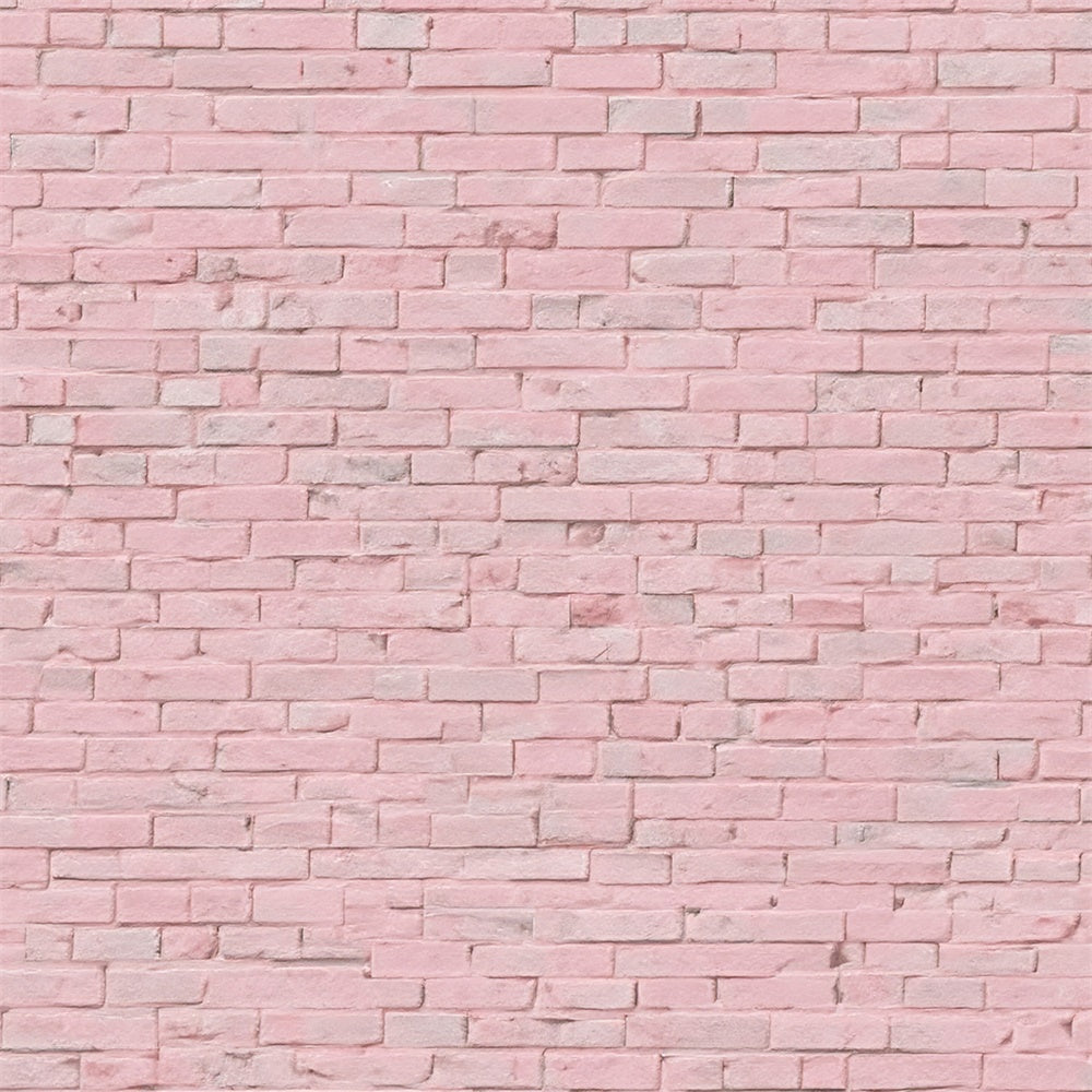 Rosa Backsteinmauer Backdrop Rosa Minimalistische Backstein Backdrop CJJ3-26