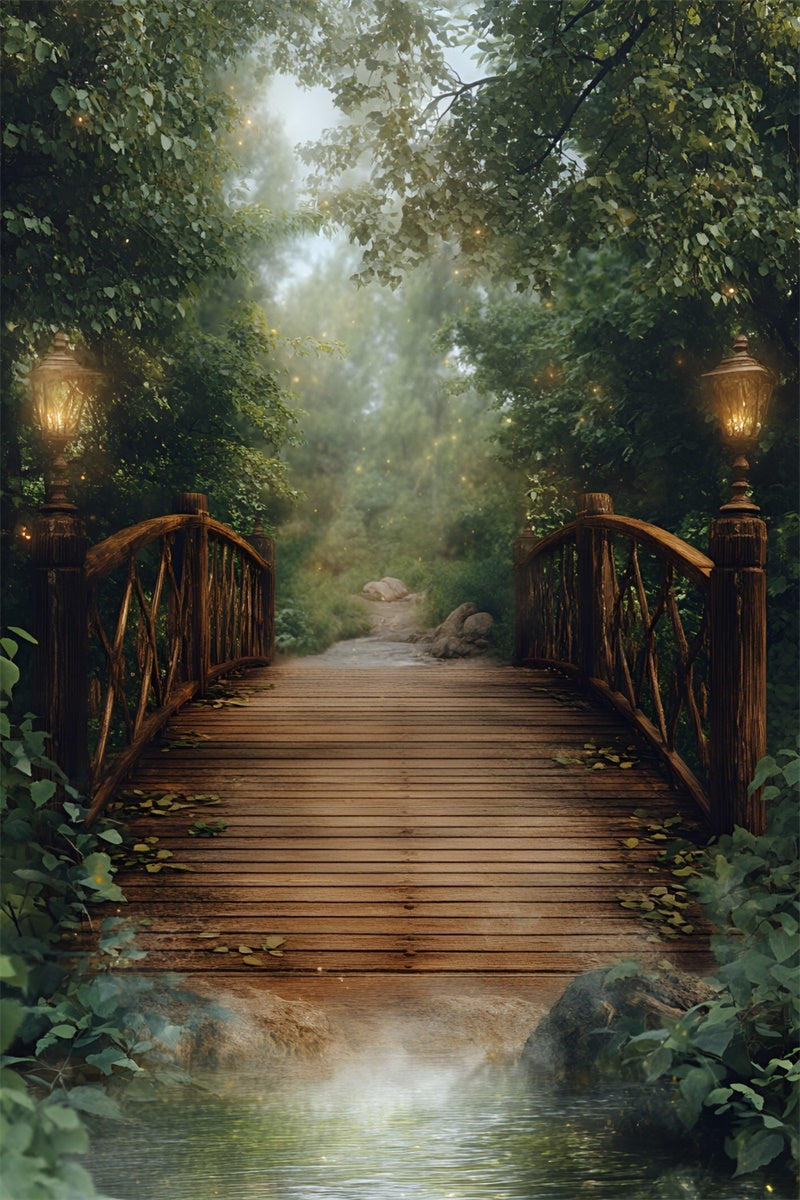 Forest Backdrop Fotografie Dämmerung Laterne Brücke Hintergrund CSH4-115