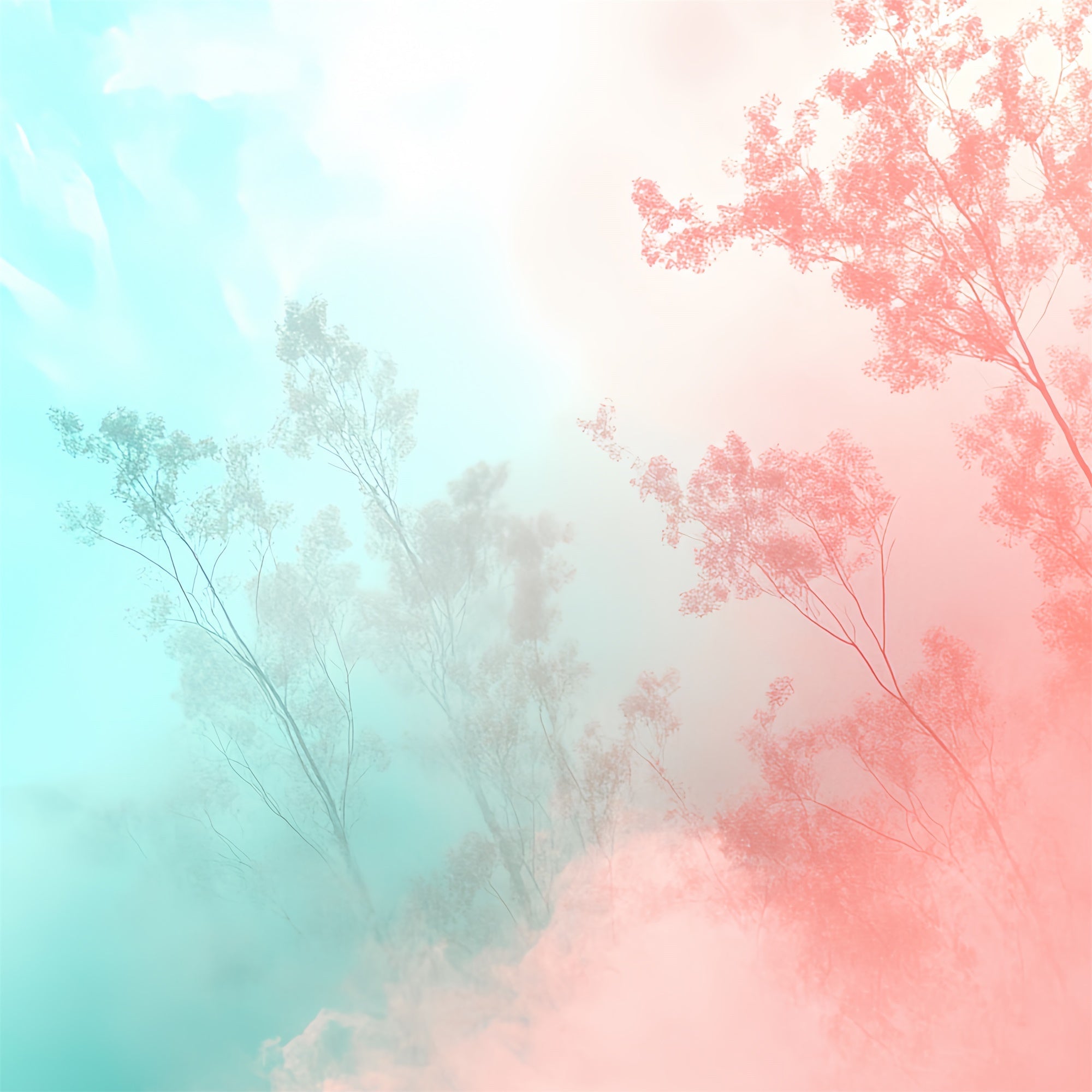 Backdrops für Schulportraits Farbverlauf Woodland Mist Backdrop CSH4-186