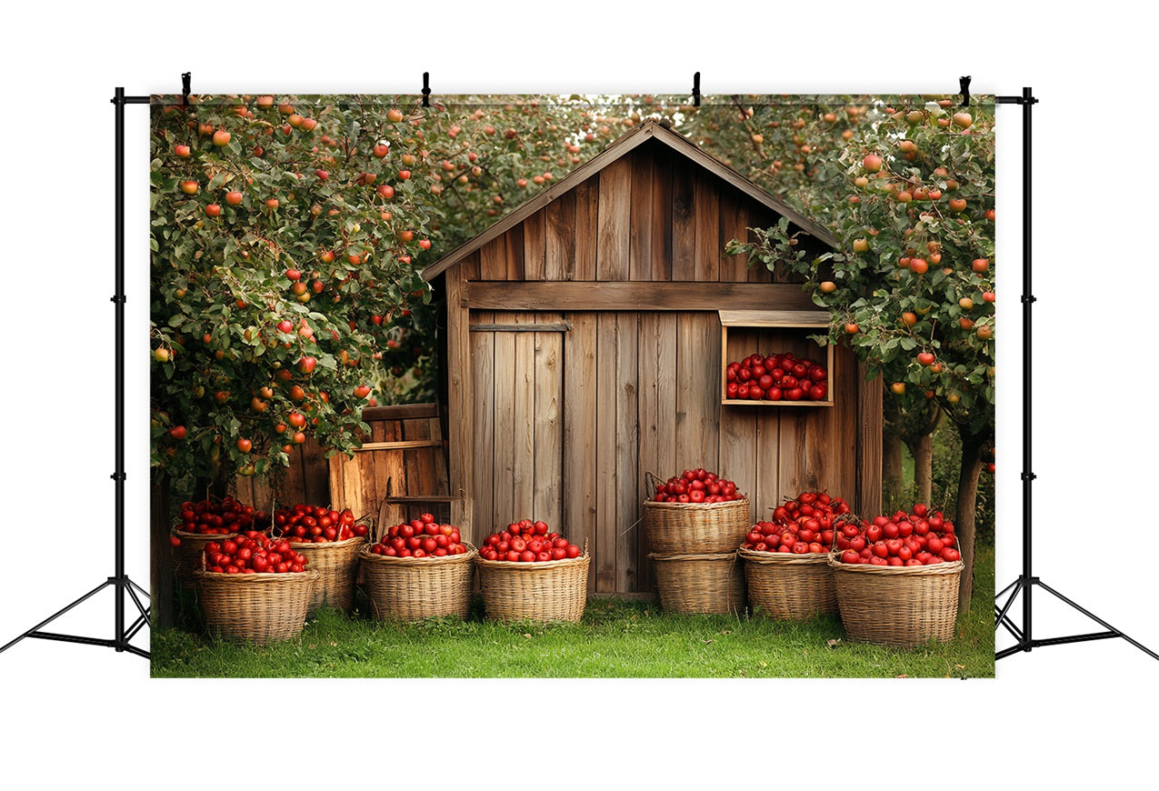 Holzscheune Backdrop Holz Apfel Ernte Hintergrund CSH4-225