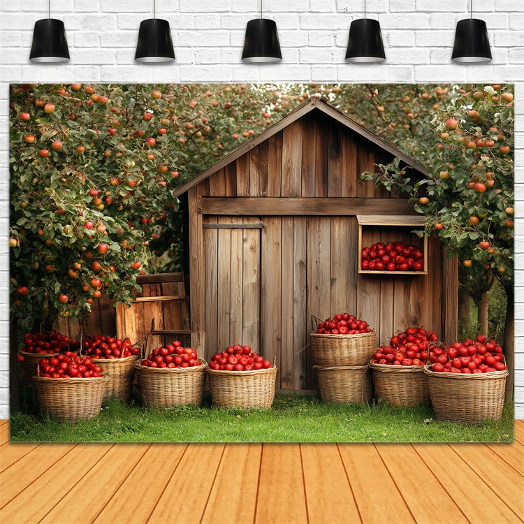 Holzscheune Backdrop Holz Apfel Ernte Hintergrund CSH4-225