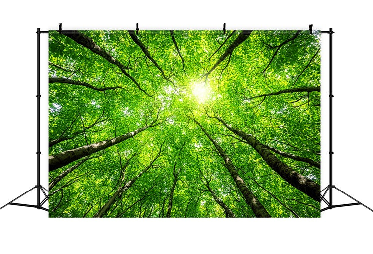 Fotografie Backdrops Wald üppige Baumkronen Himmel Hintergrund CSH4-90