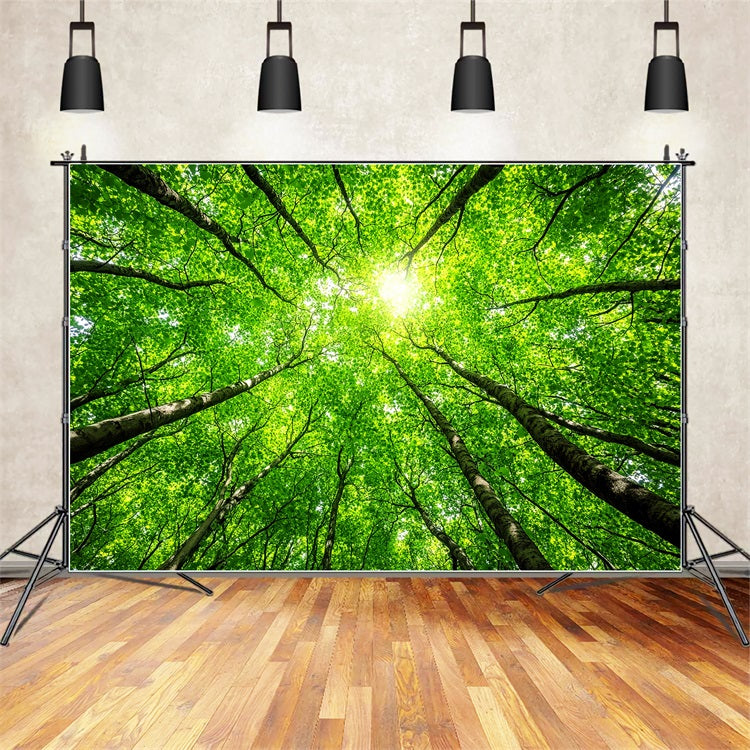 Fotografie Backdrops Wald üppige Baumkronen Himmel Hintergrund CSH4-90