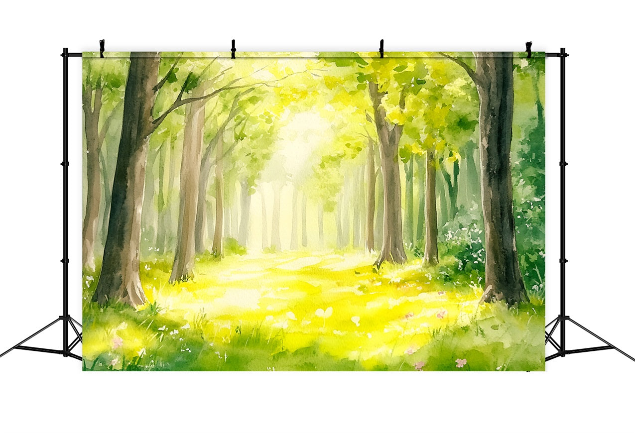 Wald Fotohintergrund Aquarell sonnenbeschienener Pfad Hintergrund CSH4-91