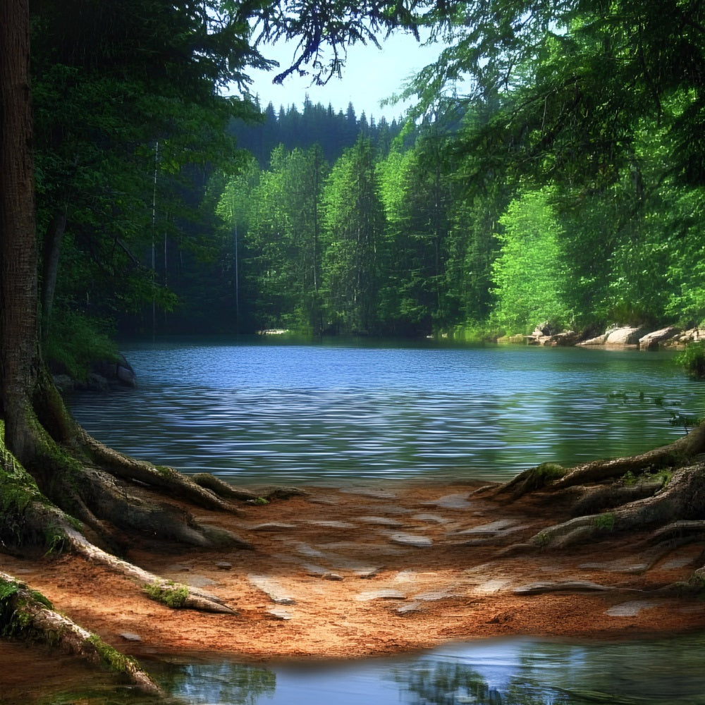 Forest Backdrops Für Fotografie See Wurzeln Hintergrund CSH4-95