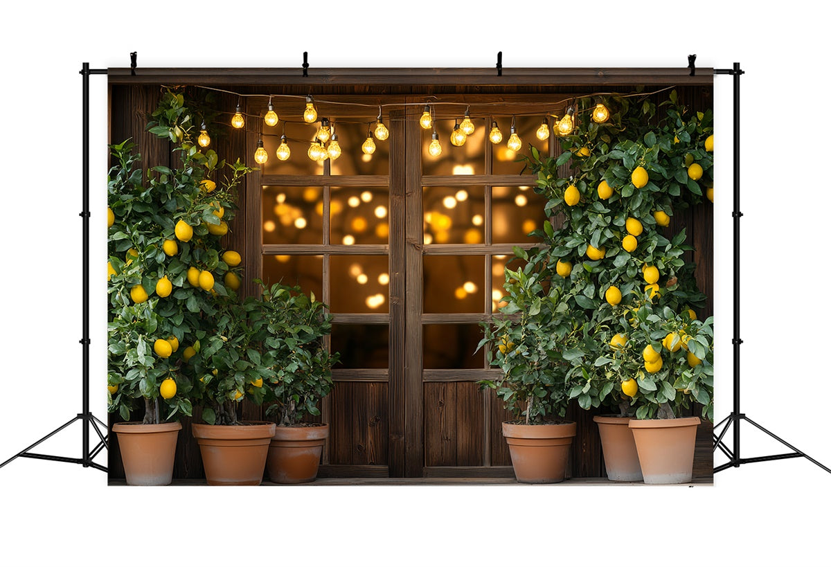 Zitrone Backdrop Zitronenbaum Lichter Sommer Backdrop CSH5-123