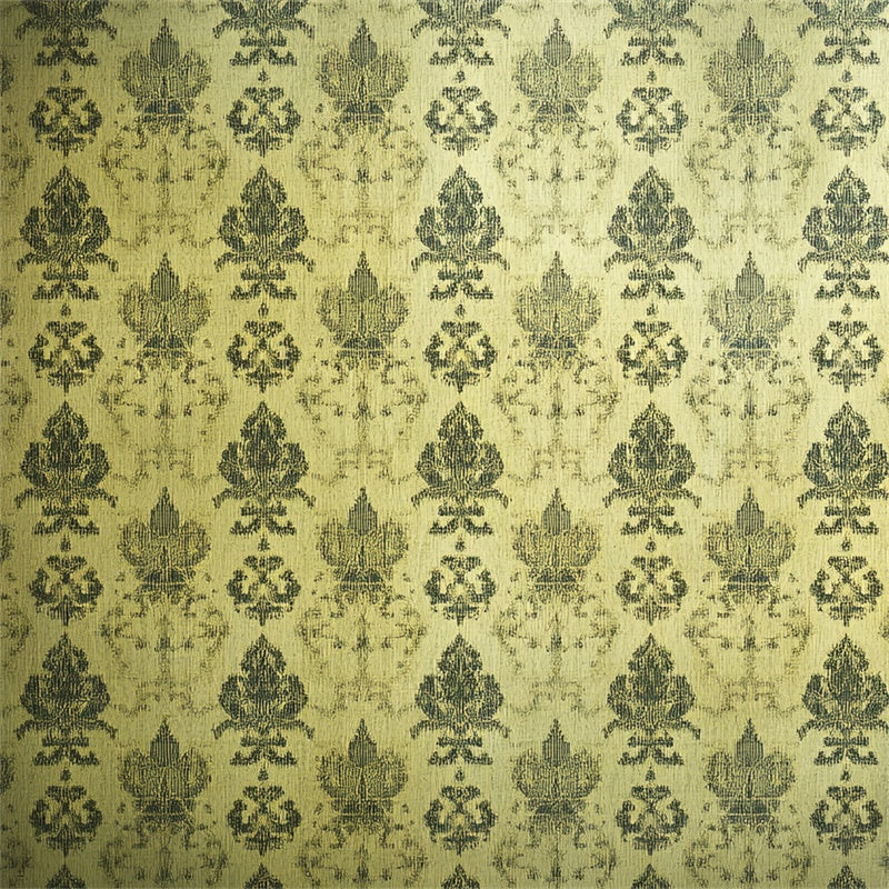 70er Jahre Foto Hintergrund verblasst Luxus Gold Damast Hintergrund CSH5-178