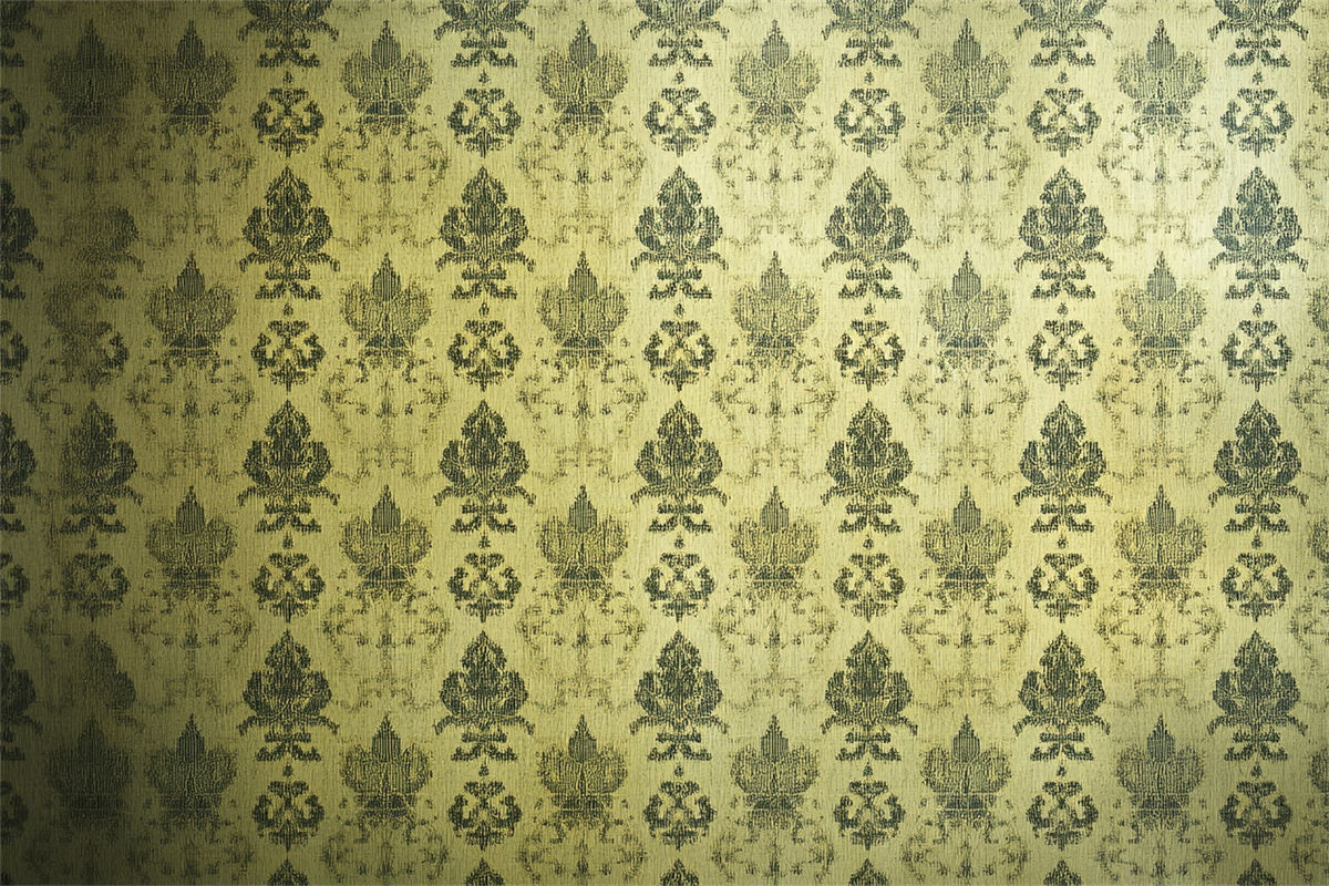 70er Jahre Foto Hintergrund verblasst Luxus Gold Damast Hintergrund CSH5-178