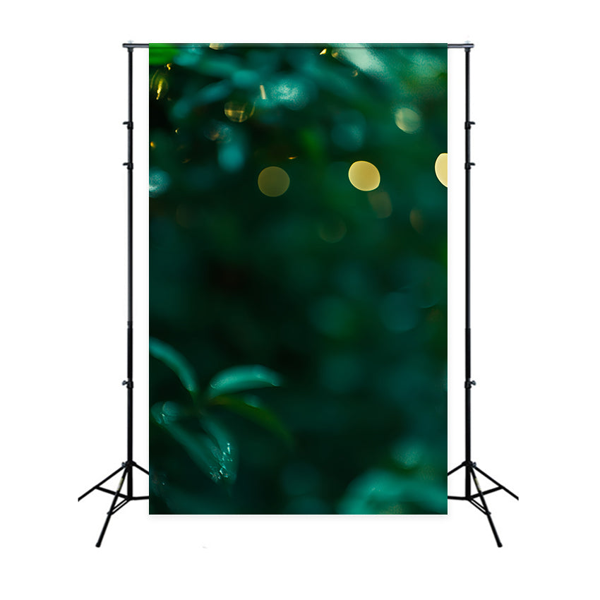 Smaragdgrüner Backdrop Grünes Traumleuchten Backdrop CSH57-18